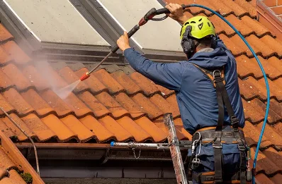 Démoussage et hydrofuge de toiture à Turbie